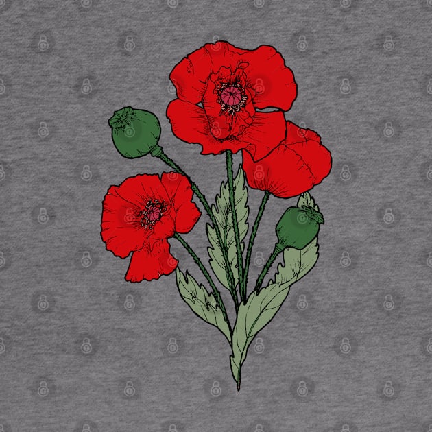 Drawing of a poppy by senkova